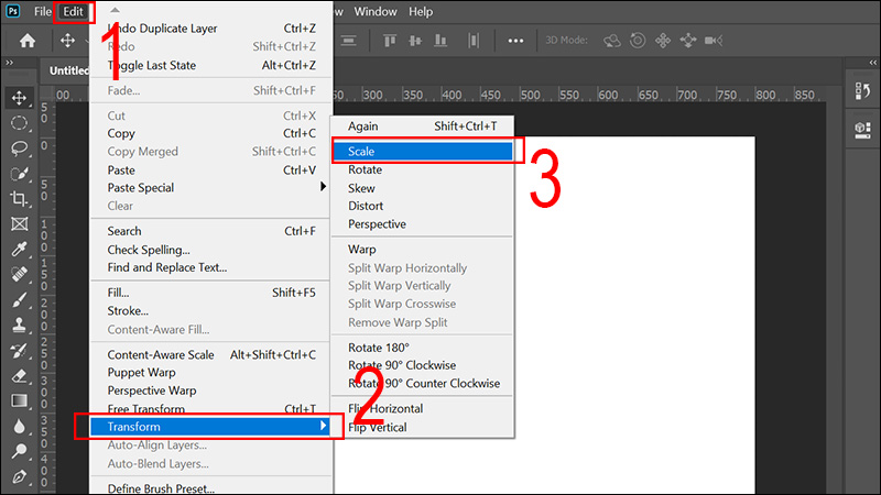 Chọn Scale trong Transform của thẻ Edit trên màn hình
